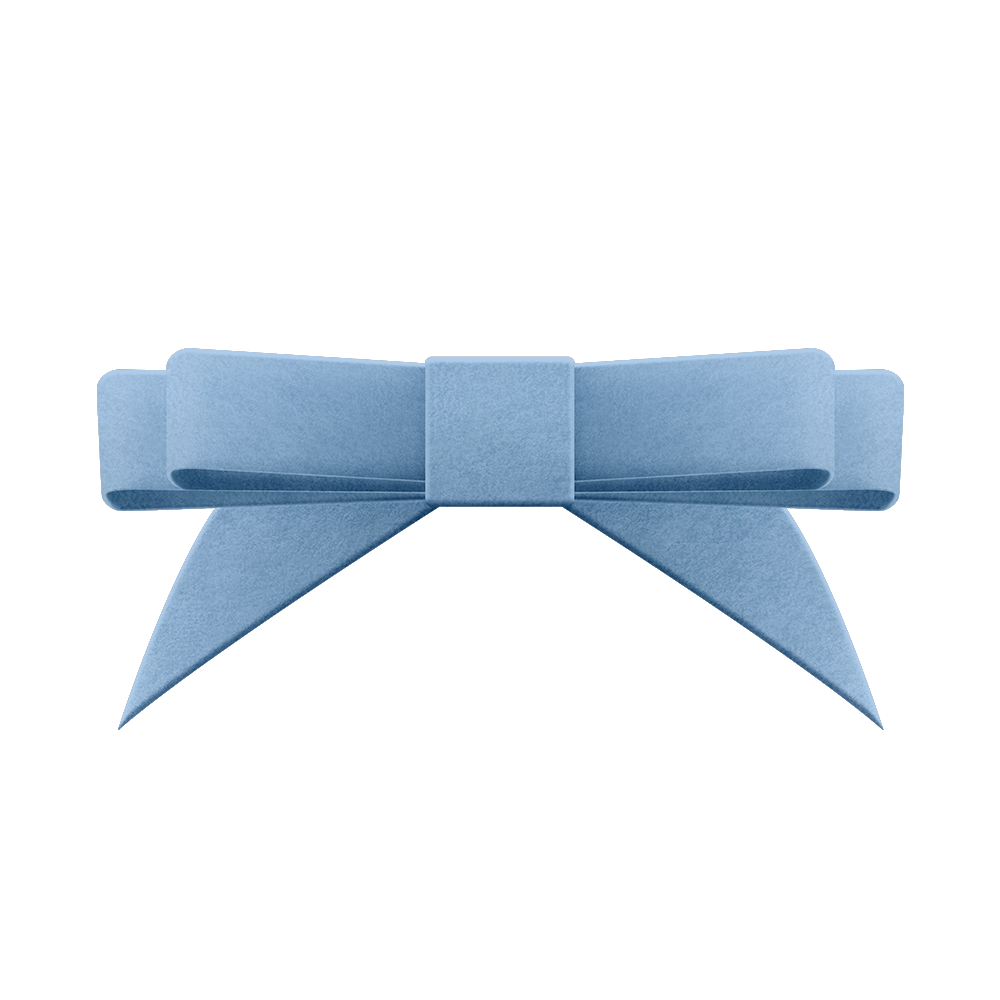 VELVET BOW